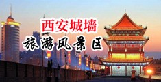 厕所澡堂盗摄v0d色库视频中国陕西-西安城墙旅游风景区